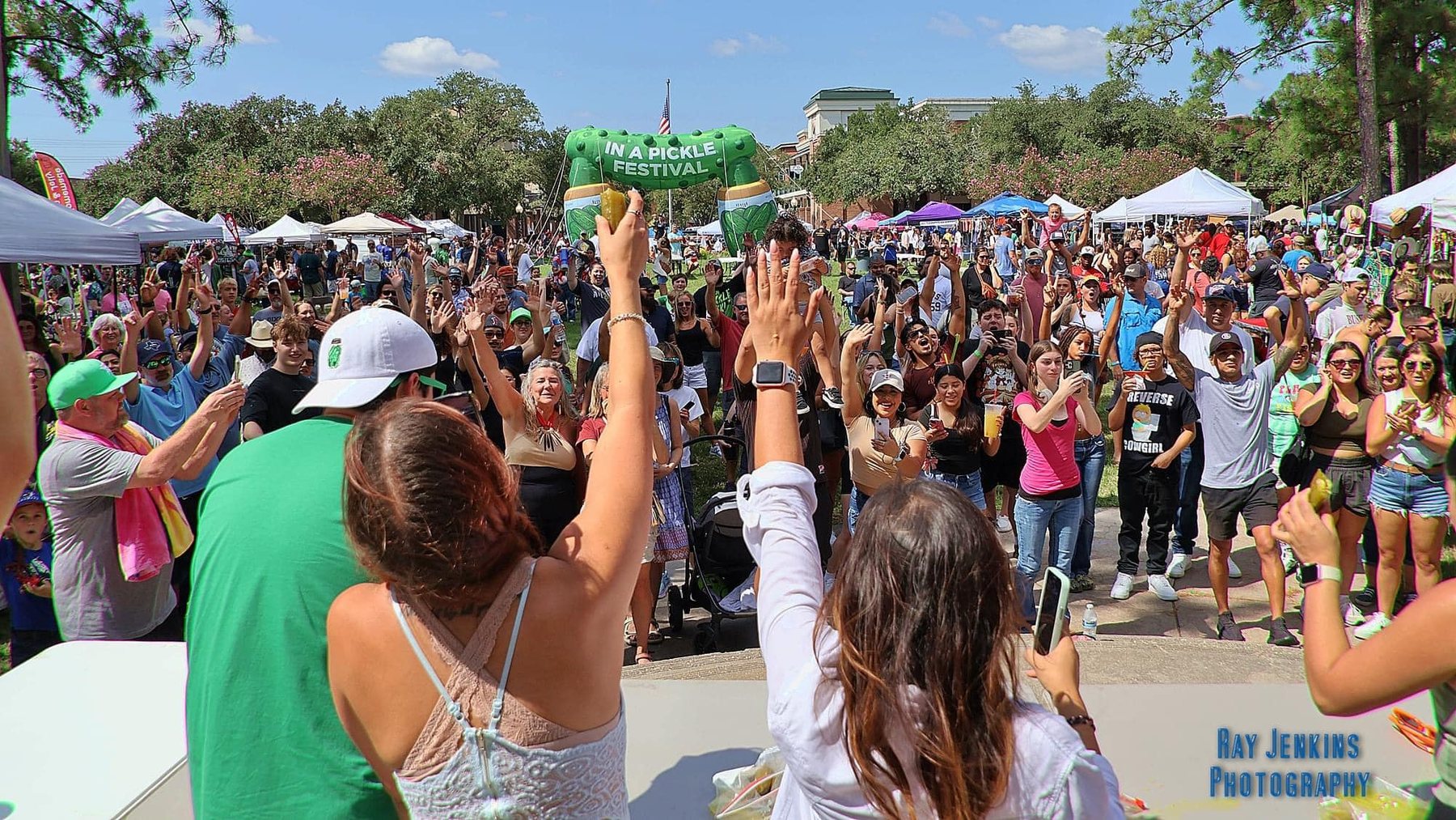 Large festival crowd cheering